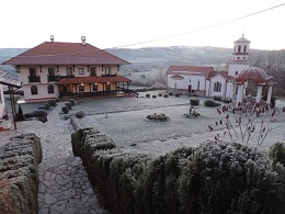 ТРПЉЕЊЕМ СВОЈИМ СПАСАВАЈТЕ ДУШЕ СВОЈЕ