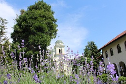 СЛАВА КАПЕЛЕ МАНАСТИРА ДИВОСТИНА